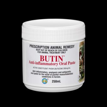 Butin Anti-Inflammatory Oral Paste